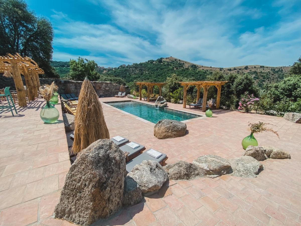 Residence De Luxe 4 Etoiles A Pietralba, 4 Logements Piscine Chauffee Balagne Exterior photo