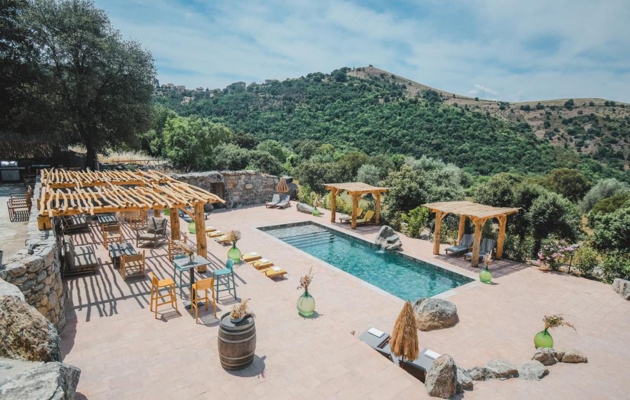 Residence De Luxe 4 Etoiles A Pietralba, 4 Logements Piscine Chauffee Balagne Exterior photo