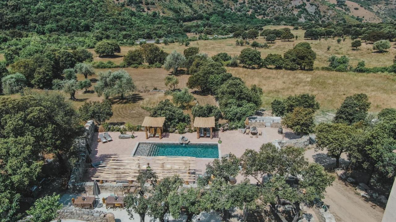 Residence De Luxe 4 Etoiles A Pietralba, 4 Logements Piscine Chauffee Balagne Exterior photo