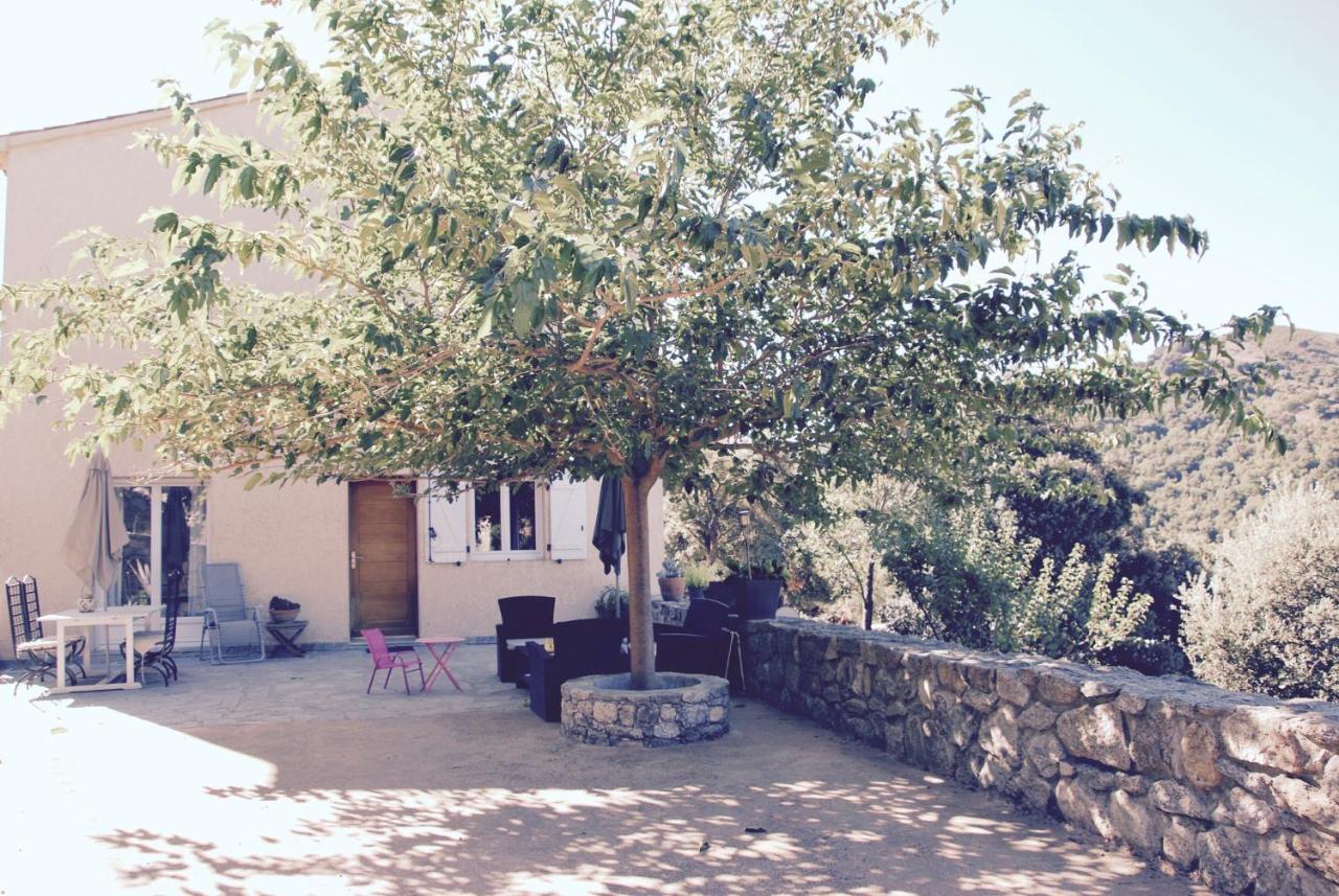 Residence De Luxe 4 Etoiles A Pietralba, 4 Logements Piscine Chauffee Balagne Exterior photo